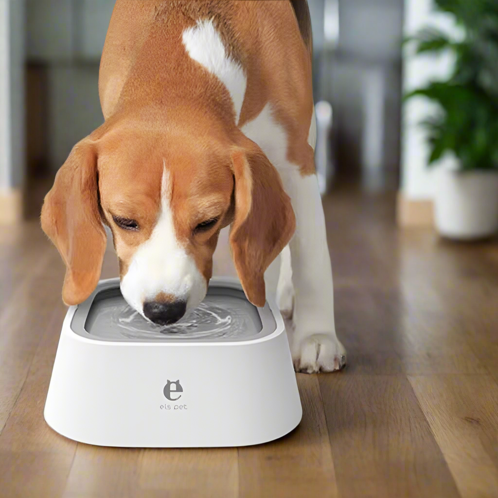 Anti-Spill Pet Bowl for Cats and Dogs