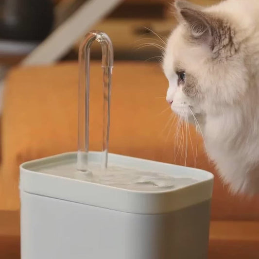 Ultra-Quiet Cat Water Fountain Filter